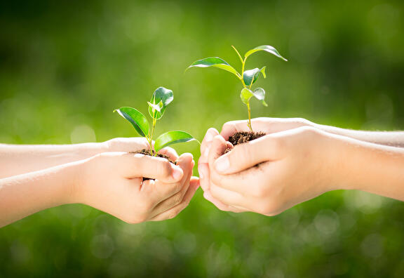 Samen