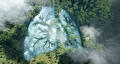 Topview van een bos